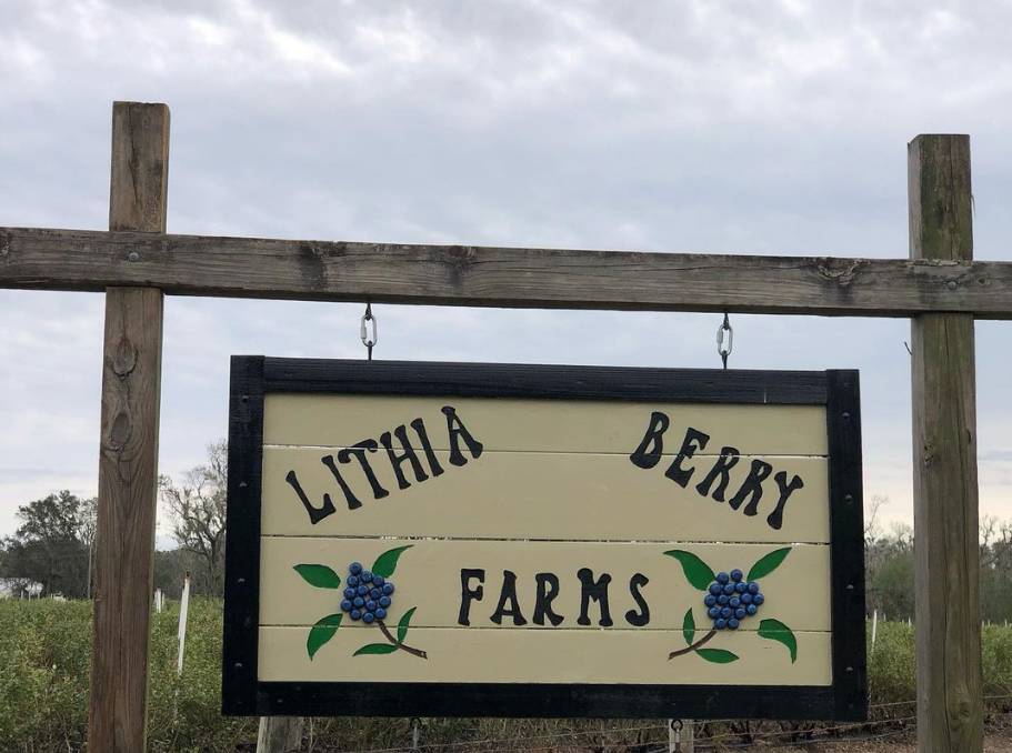 lithiablueberryfarms